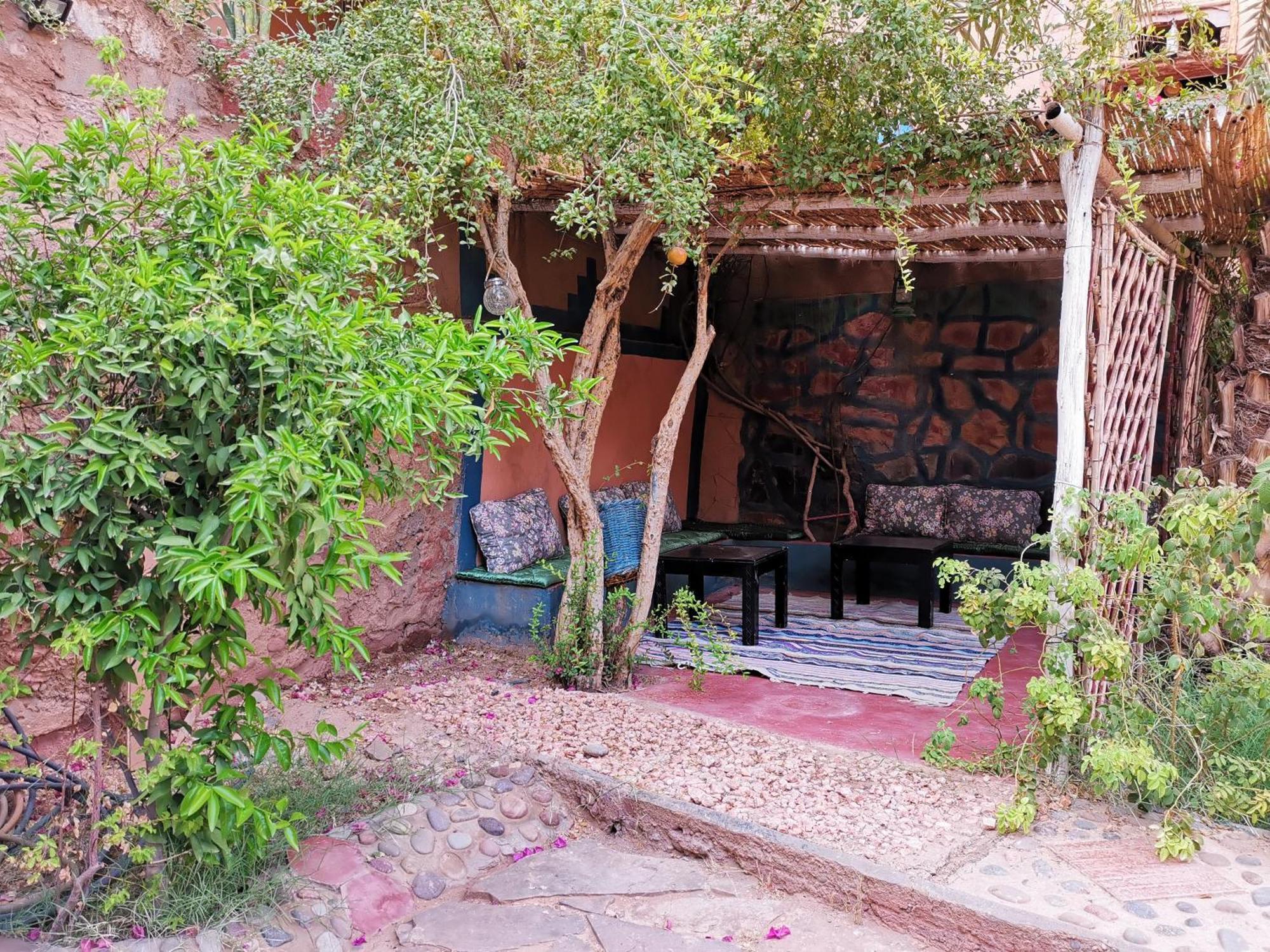 Riad Dar Zaouia Zagora Exteriér fotografie